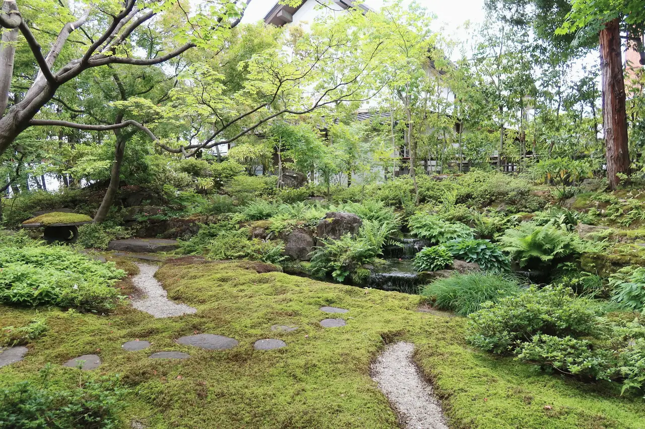 Shaded garden with a winding stepping-stone path through moss, ferns and low shrubs