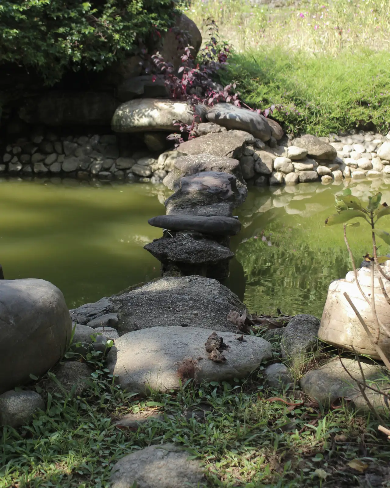 Stepping stones over a still pond