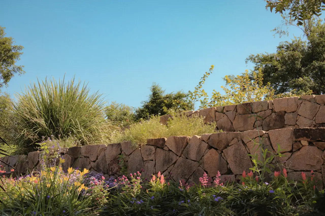 Dry-laid stone retaining wall with layered planting above a level lawn